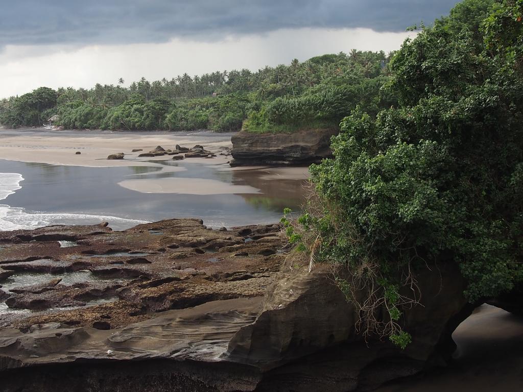 Gajah Mina Beach Resort Selemadeg  Bagian luar foto