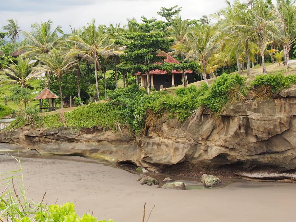 Gajah Mina Beach Resort Selemadeg  Bagian luar foto